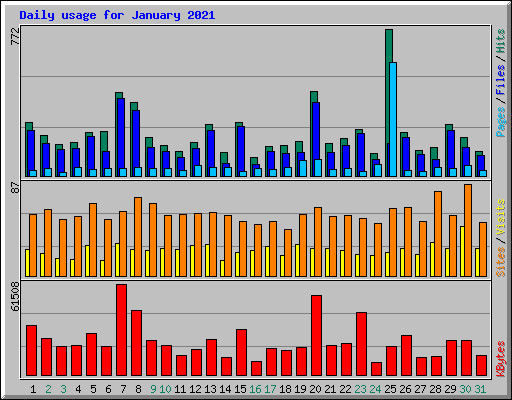 Daily usage for January 2021