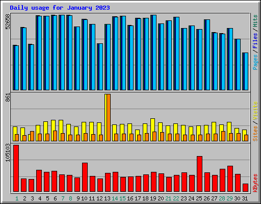 Daily usage for January 2023