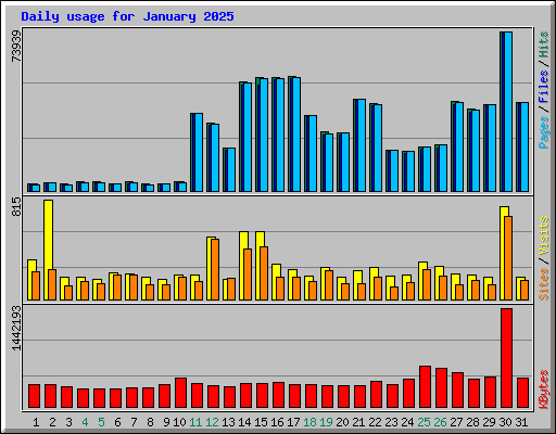 Daily usage for January 2025