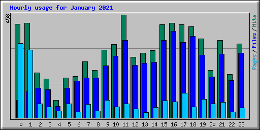 Hourly usage for January 2021