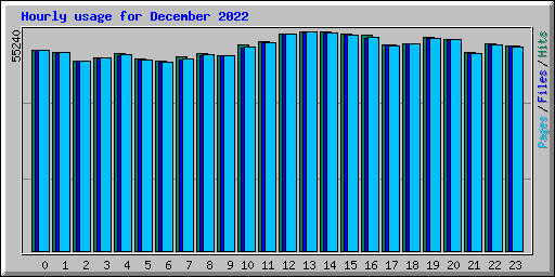 Hourly usage for December 2022