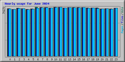 Hourly usage for June 2024