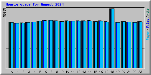 Hourly usage for August 2024