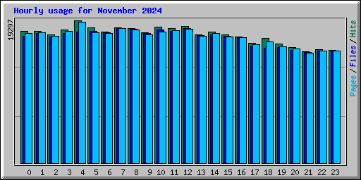 Hourly usage for November 2024