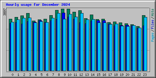 Hourly usage for December 2024