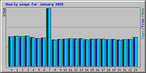 Hourly usage for January 2025