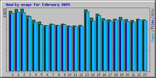 Hourly usage for February 2025