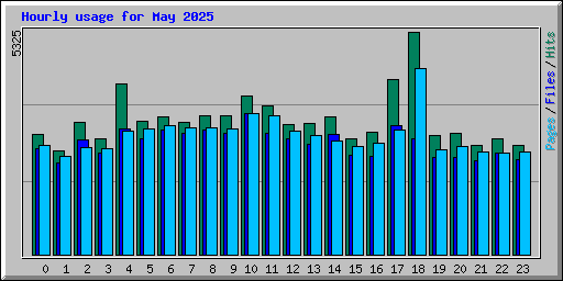 Hourly usage for May 2025
