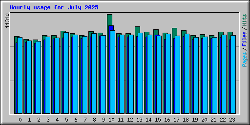 Hourly usage for July 2025