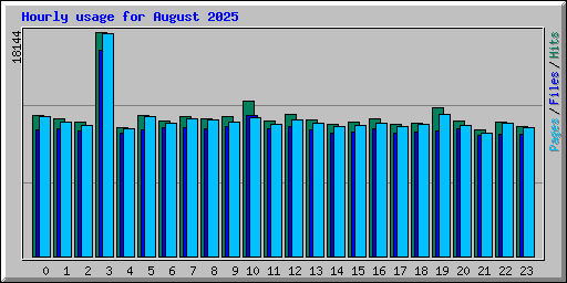 Hourly usage for August 2025