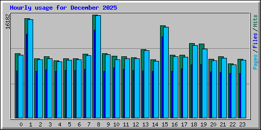 Hourly usage for December 2025