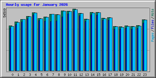 Hourly usage for January 2026