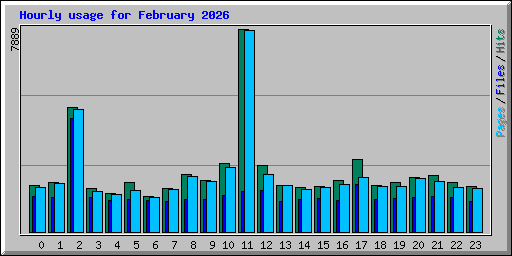 Hourly usage for February 2026