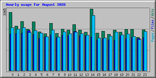 Hourly usage for August 2026